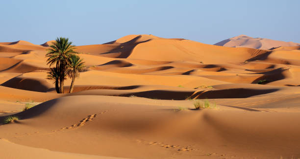 Semana Santa En El Desierto Marruecos